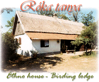 Click to Enter for more detailed info!